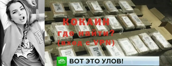 крисы Алексин