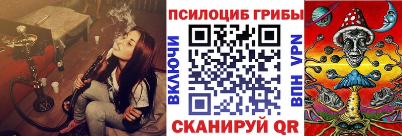 купить  сайты  Саранск  Галлюциногенные грибы Cubensis 